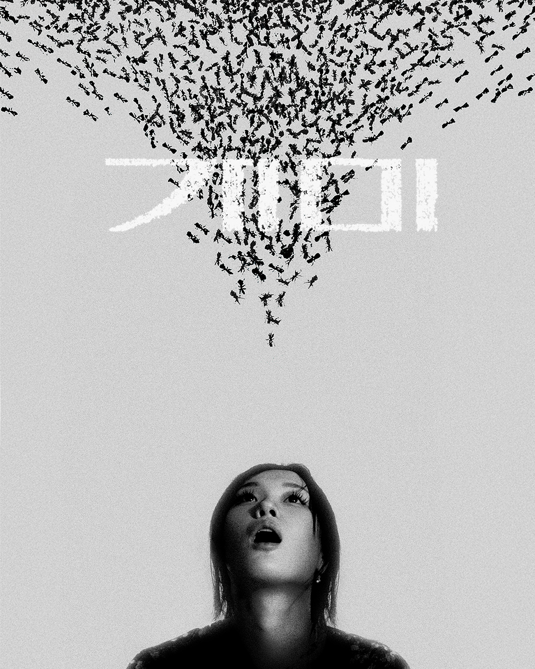 개미 썸네일 이미지