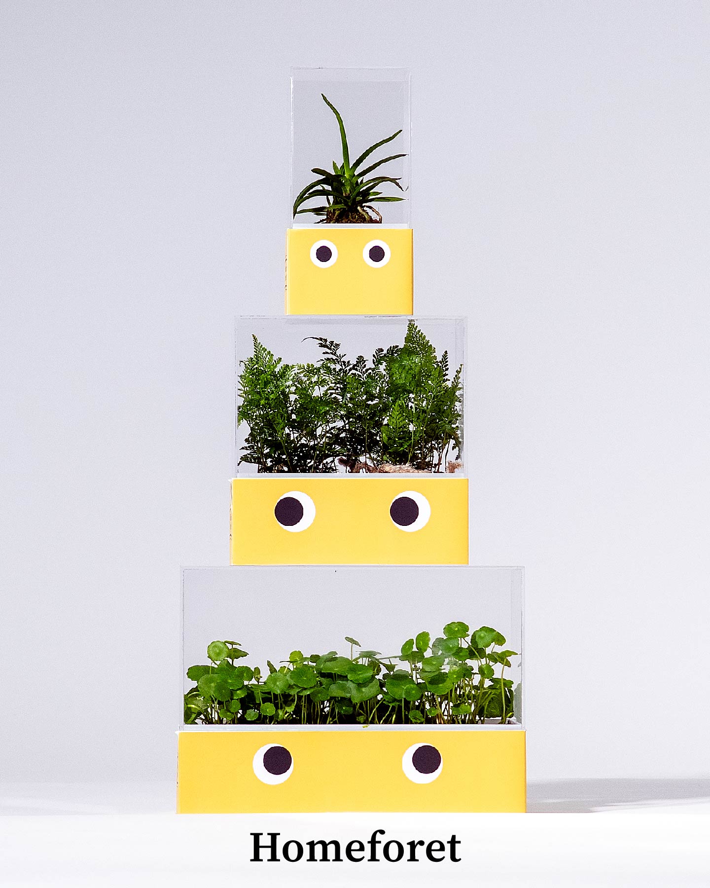 Homeforet 썸네일 이미지