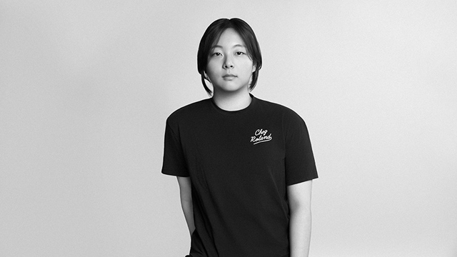 주해린 이미지, 내용 열기