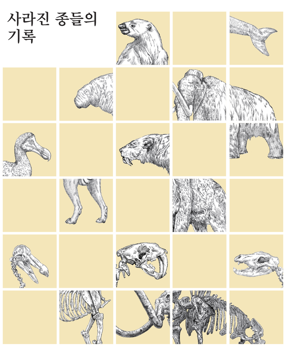 Extinct: 사라진 종들의 기록 썸네일 이미지